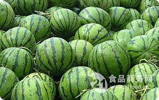 河北世纪港湾吃瓜,瓜田里的夏日盛宴，吃瓜群众的欢乐聚集地