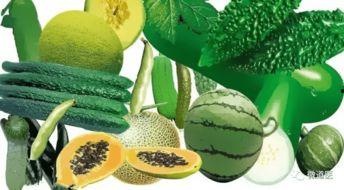 吃瓜草坪,揭秘夏日消暑新去处