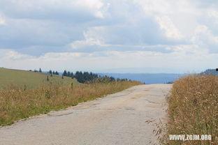 梦到别人瓜地摘瓜吃,瓜地摘瓜，共享丰收喜悦