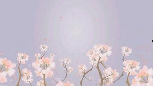 逆风吃瓜柳如烟,逆境中的坚韧与智慧