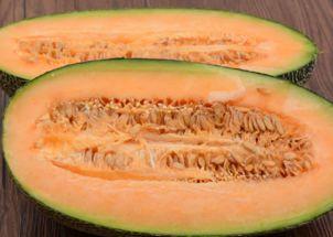 人渣怎么吃哈密瓜,人渣如何巧妙享用哈密瓜的秘诀