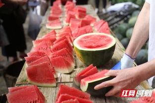 划拳吃瓜,一场别开生面的夏日聚会