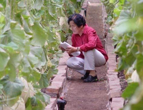 田夫人吃瓜,揭秘娱乐圈幕后真相