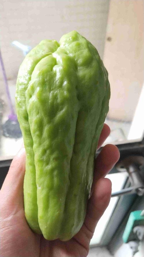 佛手菇瓜怎么吃,探索美味与健康的完美融合