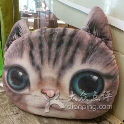 胖猫理智吃瓜,揭秘娱乐圈幕后真相