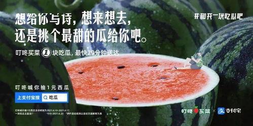 公主吃瓜的文案,宫廷秘闻大揭秘