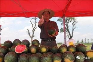 吃雪梨瓜的害处,你了解多少？