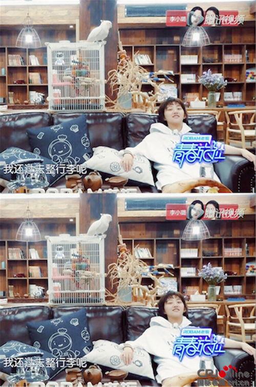 偶像吃瓜基地,揭秘娱乐圈幕后风云