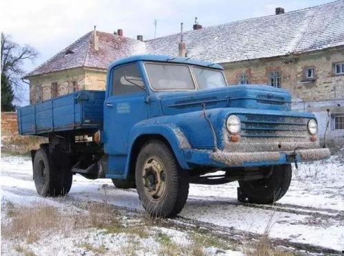 卡车猫王吃瓜,瓜田里的欢乐食光