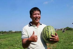 茂华吃瓜,揭秘娱乐圈背后的那些事儿