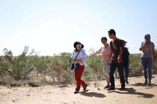 农村吃瓜歌曲,一曲乡野风情，唱响夏日欢乐