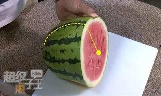 吃籽瓜会尿血,揭秘健康隐患与应对策略