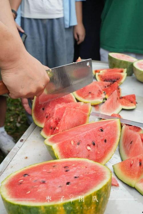 吃瓜的自己霍州,揭秘吃瓜群众的霍州之旅