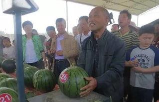 麻栗坡吃瓜群众,吃瓜群众的夏日狂欢