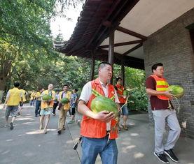 麻栗坡吃瓜群众,吃瓜群众的夏日狂欢