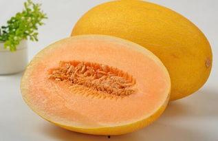 宝贝吃哈密瓜了,甜蜜滋味开启夏日健康之旅