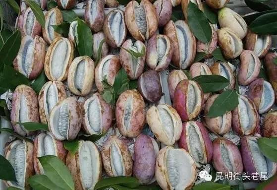 八月瓜老人吃,探寻民间养生智慧的传承者