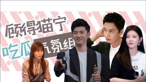 刘小姐吃瓜群众,吃瓜群众的视角，揭秘娱乐圈风云