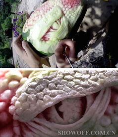 吃瓜恐龙头像,网络迷因背后的文化现象