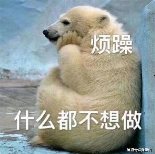 吃瓜群众点头图片,揭秘网络热议背后的真相