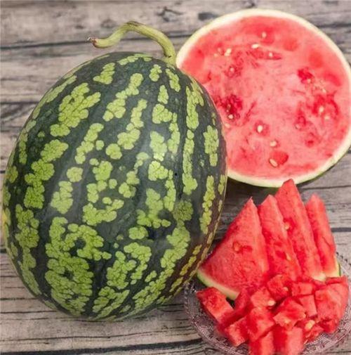 吃瓜新时代,揭秘网络舆论场中的“瓜农”与“瓜果”