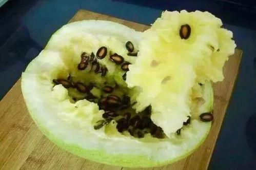 籽瓜咋吃,探索美味籽瓜的多样吃法