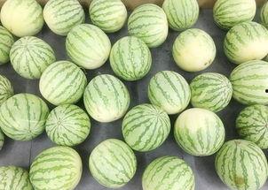 吃瓜群众缅北,吃瓜群众眼中的神秘地带