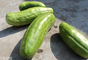 吃花脆瓜过敏,警惕美味背后的风险