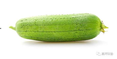 适合动物吃的瓜,盘点适合动物食用的美味瓜类