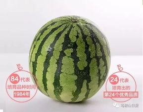 保定大街吃瓜,热闹非凡的吃瓜现场，揭秘街头美食文化