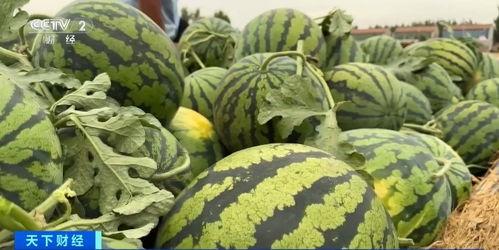 全国直播幕后吃瓜,吃瓜群众背后的故事