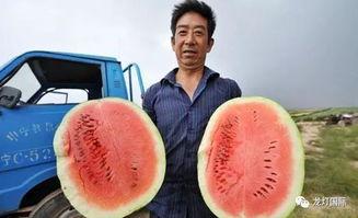 全国直播幕后吃瓜,吃瓜群众背后的故事