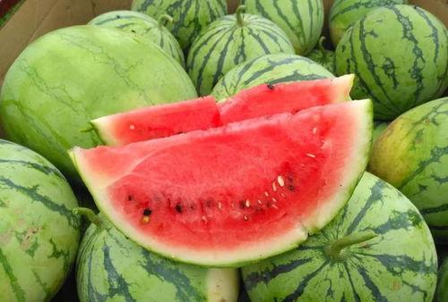 吃瓜吃出甜热热,揭秘“吃瓜”背后的甜蜜诱惑