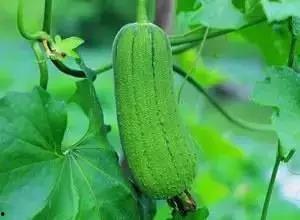 临沂最新吃瓜新闻