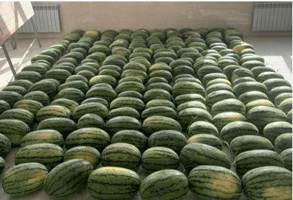 临沂最新吃瓜新闻