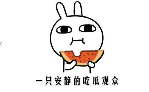 我的吃瓜过程,一场吃瓜者的狂欢之旅