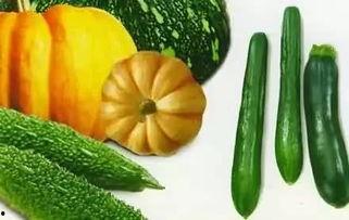 济宁师范吃瓜,吃瓜群众揭秘校园热点事件