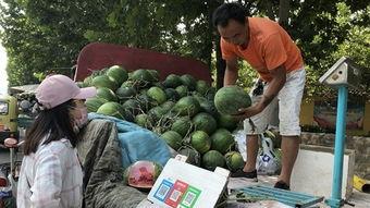 济宁师范吃瓜,吃瓜群众揭秘校园热点事件