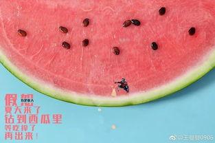 光阴里吃瓜,那些年我们一起吃过的瓜