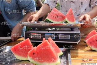 山东结婚吃瓜视频,揭秘传统婚俗趣味瞬间