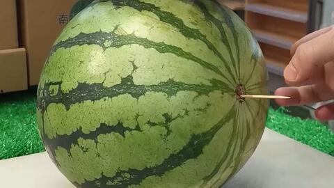 山东结婚吃瓜视频,揭秘传统婚俗趣味瞬间