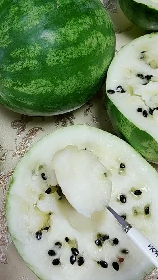 东北吃雪瓜视频大全,雪瓜视频大全大赏
