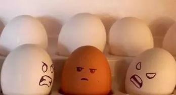 早上吃皇瓜好吗,皇瓜，开启健康活力一天