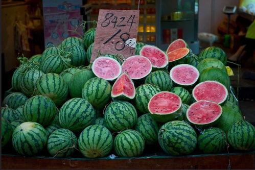 上海吃瓜女婿,揭秘沪上美食背后的故事