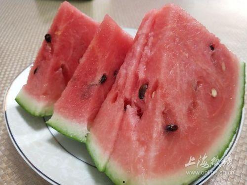 上海吃瓜女婿,揭秘沪上美食背后的故事