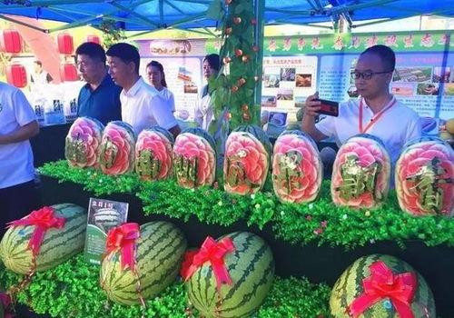 吃瓜展览,一场别开生面的吃瓜文化盛宴