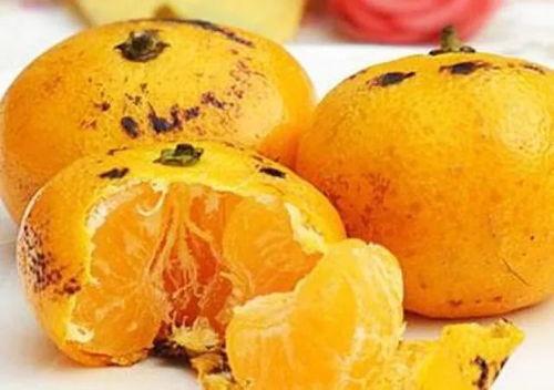 寿光橘瓜怎么吃,解锁美味新体验