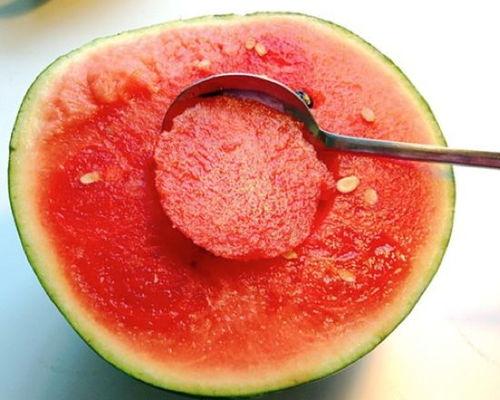 怎么让吃瓜人戒瓜呢视频,揭秘戒瓜攻略