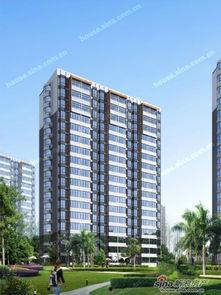 水岸华府吃瓜,吃瓜群众揭秘社区生活点滴