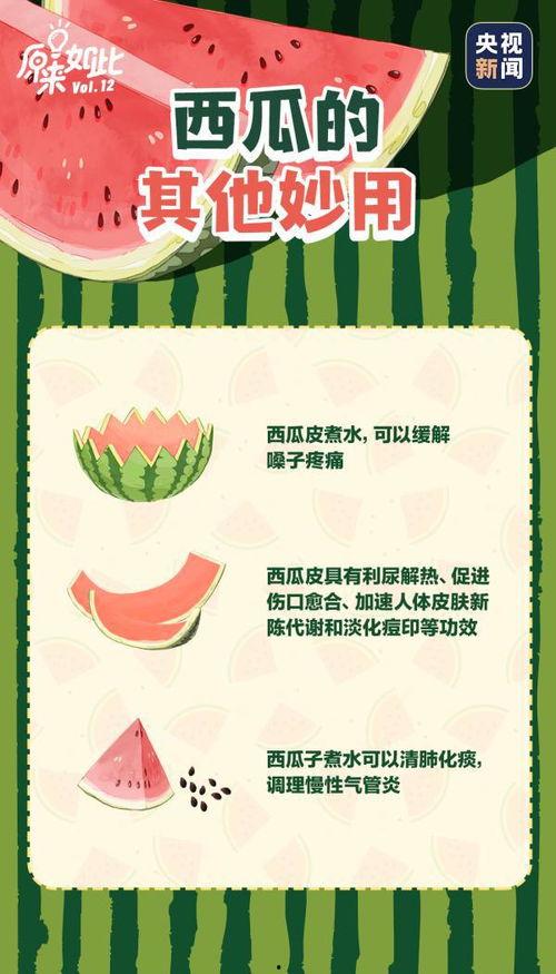 吃瓜全文阅读,揭秘娱乐圈背后的真相与秘密